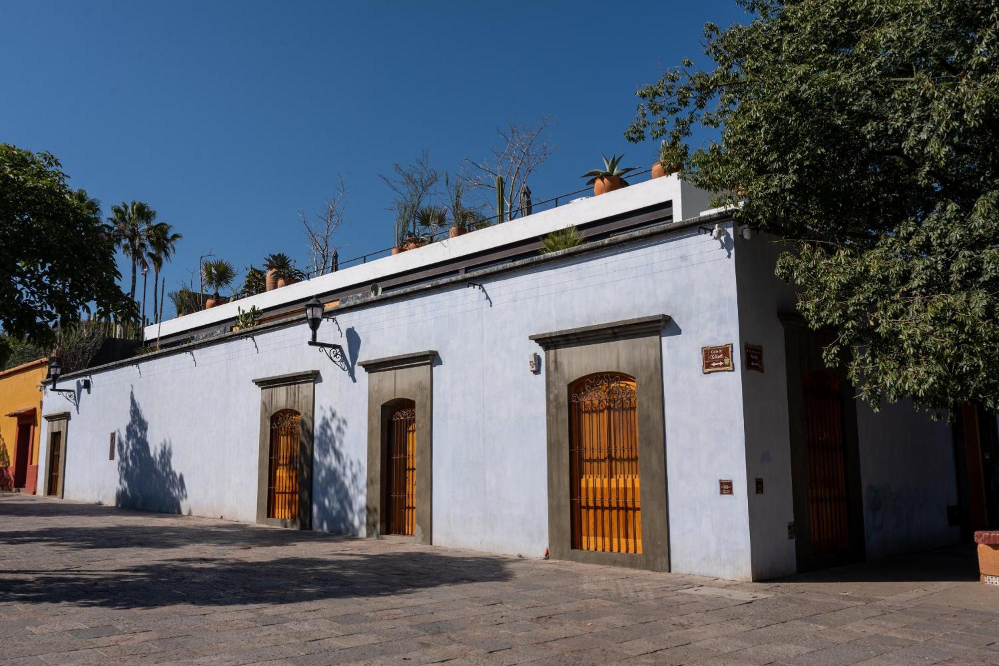 Casa Carmen Xolotl Hotel Oaxaca Ngoại thất bức ảnh