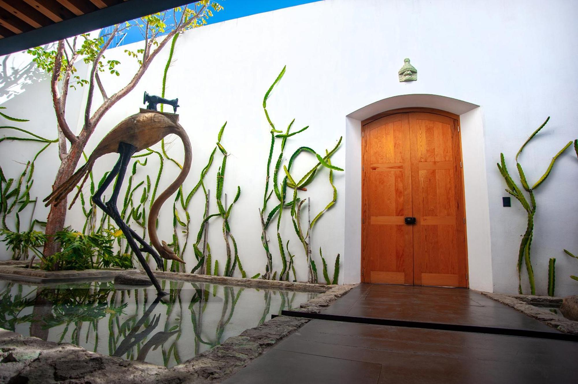 Casa Carmen Xolotl Hotel Oaxaca Ngoại thất bức ảnh